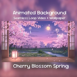 Anime Animierter Hintergrund | Kirschblüten Frühling, Sakura Garten Nacht, Lofi, Twitch Overlay, VTuber Stream