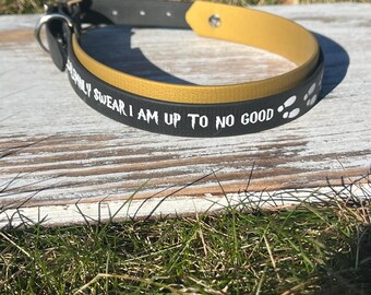 LIMITED TIME DROP Up to no good Waterproof Biothane Double Layered Dog Collar -  Width 1 Inch