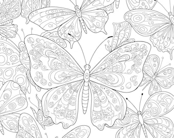 Butterfly adult coloring page.