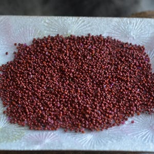 May include: A rectangular, clear glass dish filled with a large pile of small, dark red beads. The beads are clustered together, creating a textured surface. The dish has a decorative, starburst pattern.