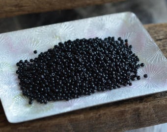 Antique Venetian 1800s Glossy Black Seed Beads , African Trade, 15bpi, 7g