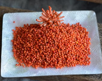 Antique Venetian 1800s Coral Shades Glass Seed Beads , African Trade, 15bpi, 7g