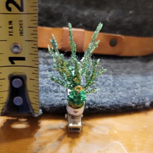 Succlent Sprout