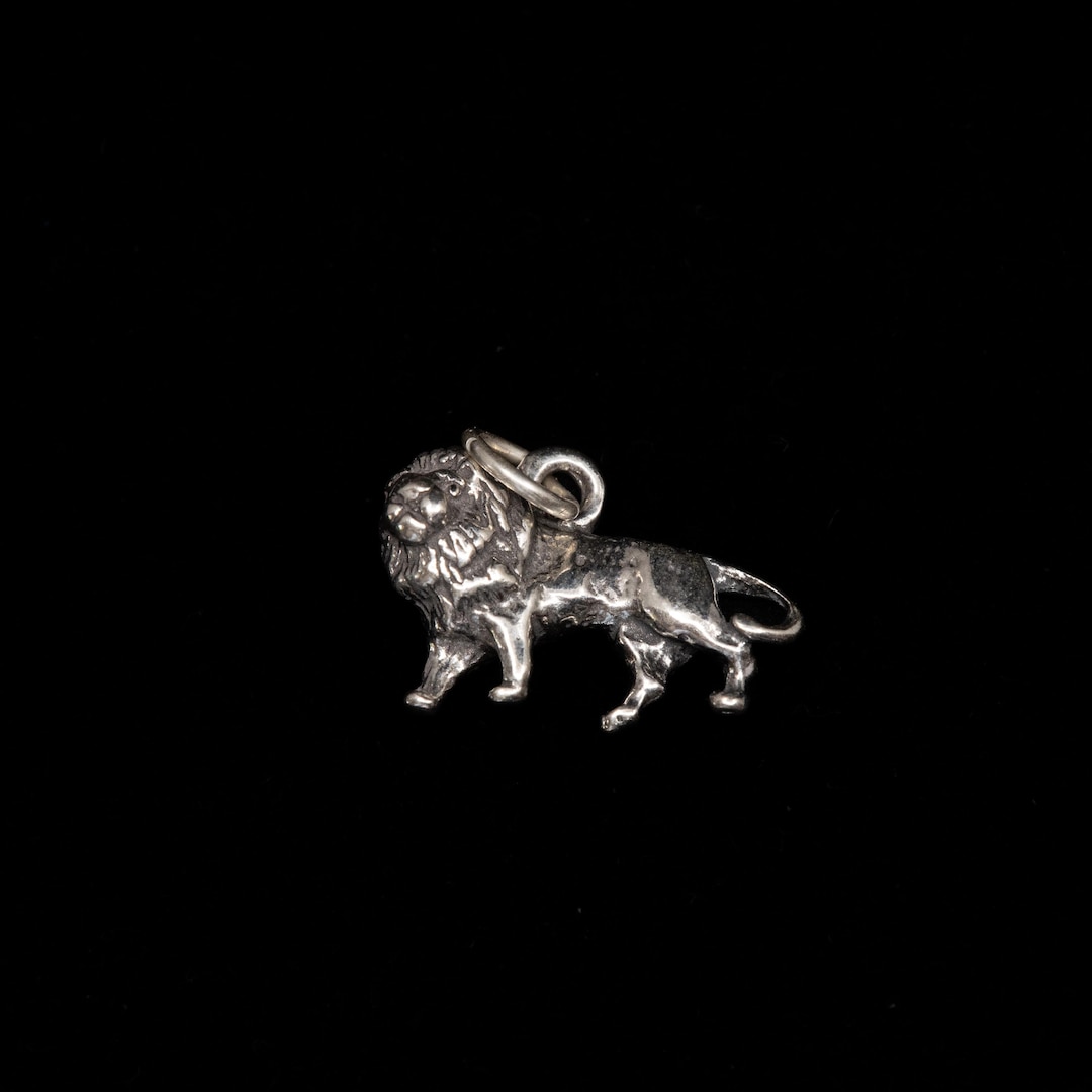 Scudo con ciondolo in argento sterling Lion .925 x 1 Shields Lions