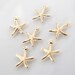 6pcs - 14k Gold Filled Tiny Starfish Charms 8x8mm, Made in USA, GC10 