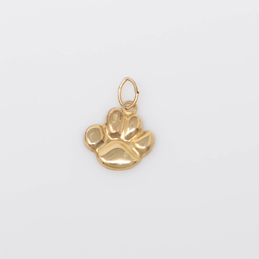 EIN - 14K Gold Filled Pfotenabdruck Anhänger 10 mm, GC53