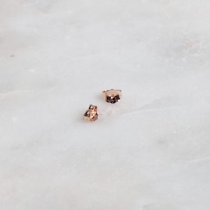 Ten 14K Rose Gold Filled Small Ear Nuts, Made in USA, D6