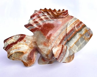 Onyx fish