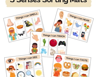 Interactive 5 Senses Activity: Inclusive Visual Sorting Mats for Hands-On Learning, Visual Skills, and Immersive Learning
