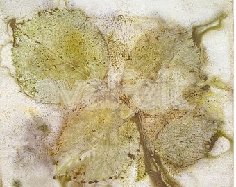 DOWNLOAD 5 Eco Prints of Leaves, for Wall Design, DIY Projects, Art Journals