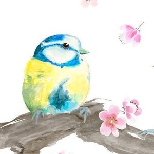 Postkarte Blaumeisen und Blüten, Zwei Vögelchen auf einem Pflaumenblütenzweig