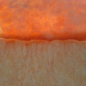 Felted Apricot Makeup Bag image 4