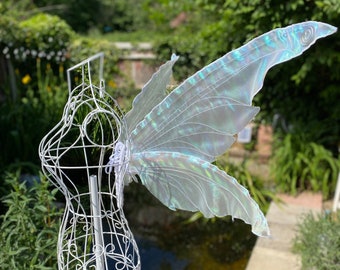 Medium pixie wings