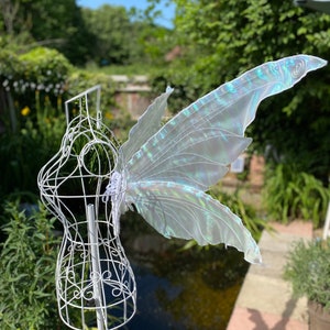 Medium pixie wings