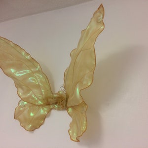 Fairy Wings, Tinkerbell style, gold, medium