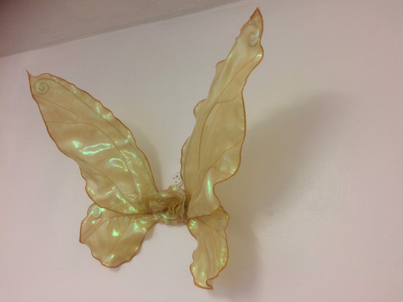 May include: A pair of iridescent fairy wings with a light gold color. The wings are made of a sheer, translucent material and have a delicate, intricate design.