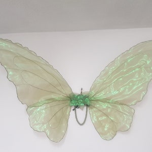 Può includere: Ali di farfalla verdi iridescenti con un accento floreale verde centrale. Le ali sono realizzate in un tessuto trasparente e scintillante e sono attaccate a un telaio metallico. Le ali sono progettate per essere indossate o utilizzate come oggetto decorativo.