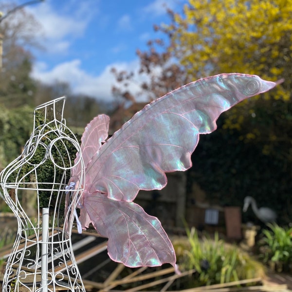 Baby pink fairy wings with darker pink stitching