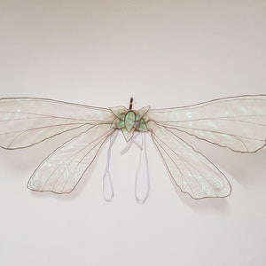 Dragonfly Fairy Wings, opvouwbaar, champagne met bruine stiksels, iriserend, de meeste kleuren beschikbaar in deze stijl.