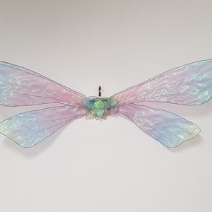 Dragonfly Fairy Wings, opvouwbaar, regenboog, iriserend