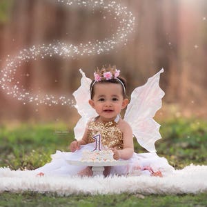 Real White Butterfly Fairy Wings image 5