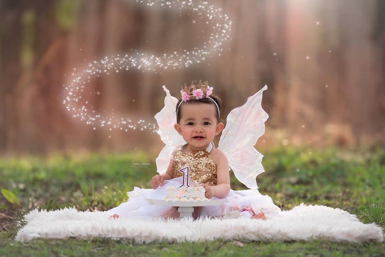 Real White Butterfly Fairy Wings image 5