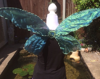 Child fairy wings, peacock colour.