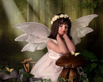 Fairy Wings, Triple fantasy ivory, Iridescent *