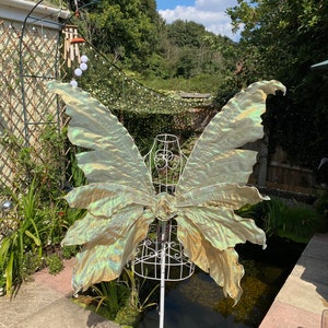 Very Large Adult Antique Gold fairy wings