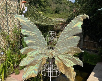 Very Large Adult Antique Gold fairy wings