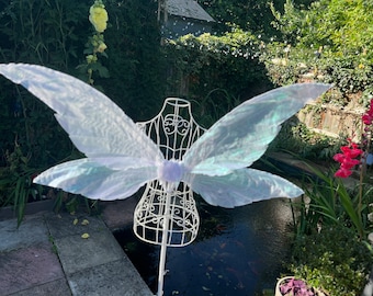 Large white iridescent pixie wings