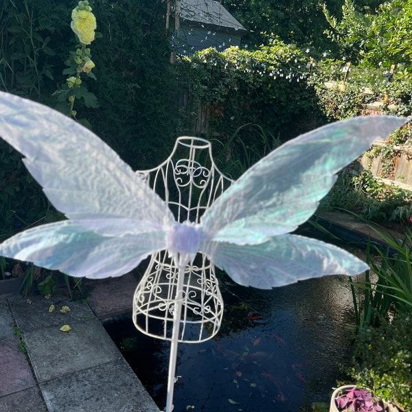 Large white iridescent pixie wings