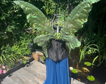 Green  wings with tails