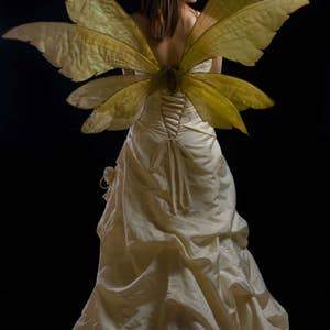 May include: A woman in a cream-coloured gown with large, translucent, yellow-green fairy wings. The dress has a corset back and a flowing skirt. The background is black.