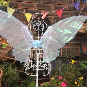 Fairy Wings, adult, Realistic Butterfly