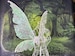 Elfling inspired Large Adult Fairy Wings white iridescent 