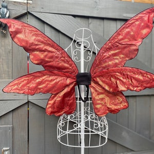 Medium Red Fairy Wings