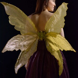 Fairy Wings, Adult, Large Gold Triple Tier Fantasy *