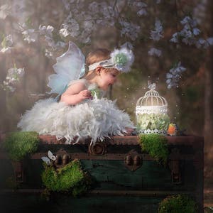 Real White Butterfly Fairy Wings image 1