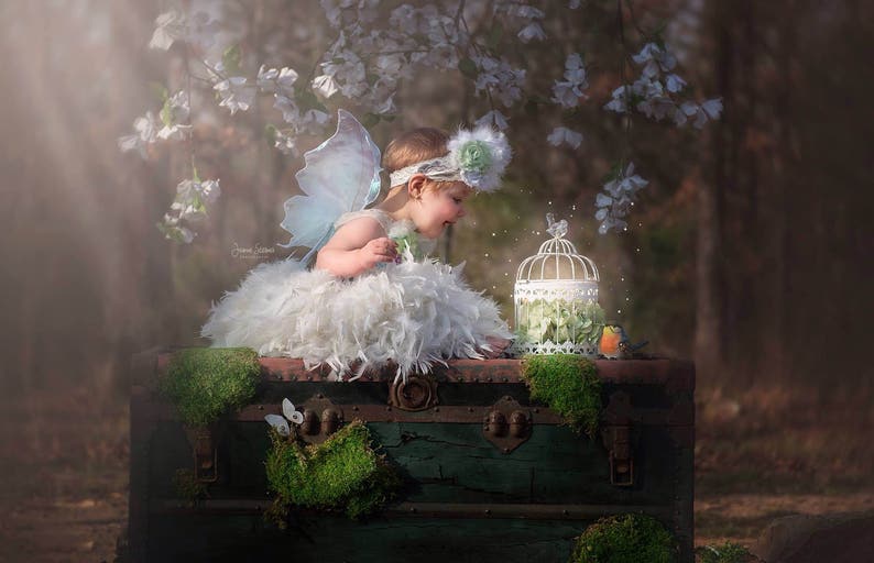 Real White Butterfly Fairy Wings image 1