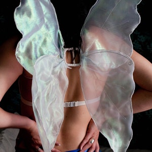 Gorgeous white iridescent  Fairy Wings