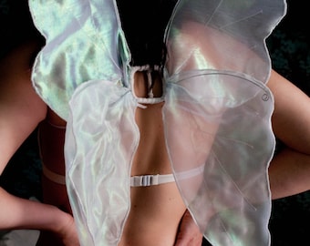 Wunderschöne weiße irisierende Feenflügel