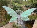 White iridescent fairy wings
