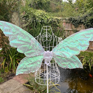 White iridescent fairy wings