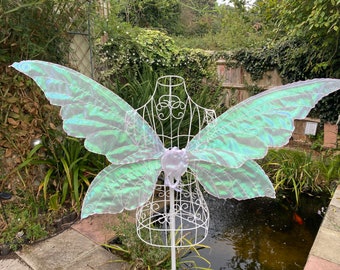 White iridescent fairy wings