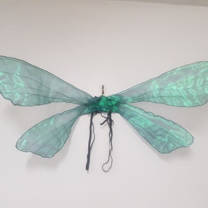 Iridescent green Dragonfly wings