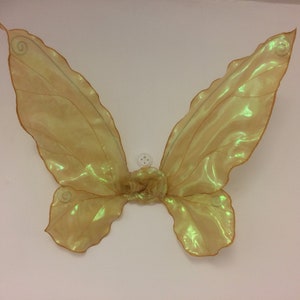 May include: A pair of iridescent gold fairy wings with a delicate, sheer fabric. The wings are attached at the center with a small, white button.