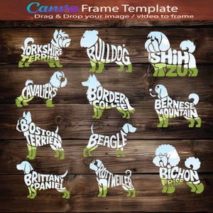 Puede incluir: Una descarga digital de 10 siluetas de razas de perros, cada una compuesta por el nombre de la raza. Las siluetas son blancas con un fondo verde. Las razas son Yorkshire Terrier, Bulldog, Shih Tzu, Cavalier King Charles Spaniel, Border Collie, Boyero de Berna, Boston Terrier, Beagle, Rottweiler y Bichon Frisé.