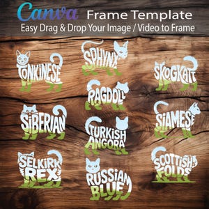 Puede incluir: Una plantilla digital para crear diseños con temática de gatos. La plantilla presenta 12 razas de gatos diferentes, cada una con una silueta única compuesta por el nombre de la raza. Las razas incluyen Tonkines, Sphynx, Ragdoll, Siberiano, Angora turco, Siamés, Selkirk Rex, Azul ruso y Scottish Fold.