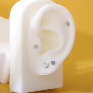 16G 18G titan månstjärna hjärtkatt örhänge, silver innergängad helixörhänge conch stud traguspiercing läppstift, gör-det-själv-örhängen